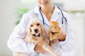 PetCare