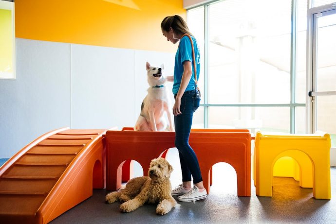 Training And Behavior