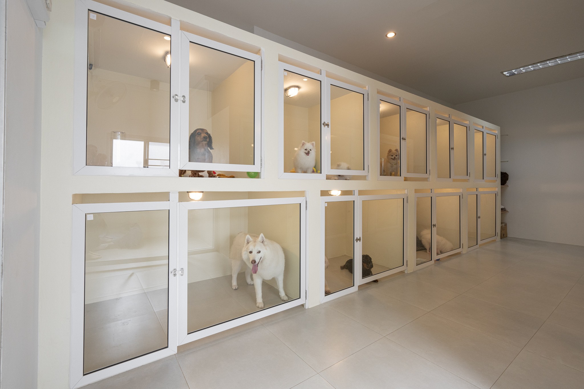 Pet Hotel